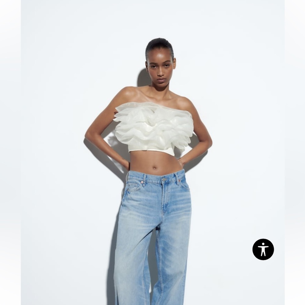 Zara Organza Tube Top